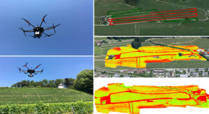 A drone is monitoring a vineyard