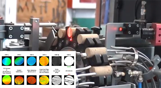 Ästhetische Kontrolle in der Lebensmittelproduktion 