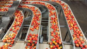 Embedded Vision Systeme ermöglichen die vollautomatische Qualitätskontrolle, Sortierung und Portionierung in der Lebensmittelindustrie