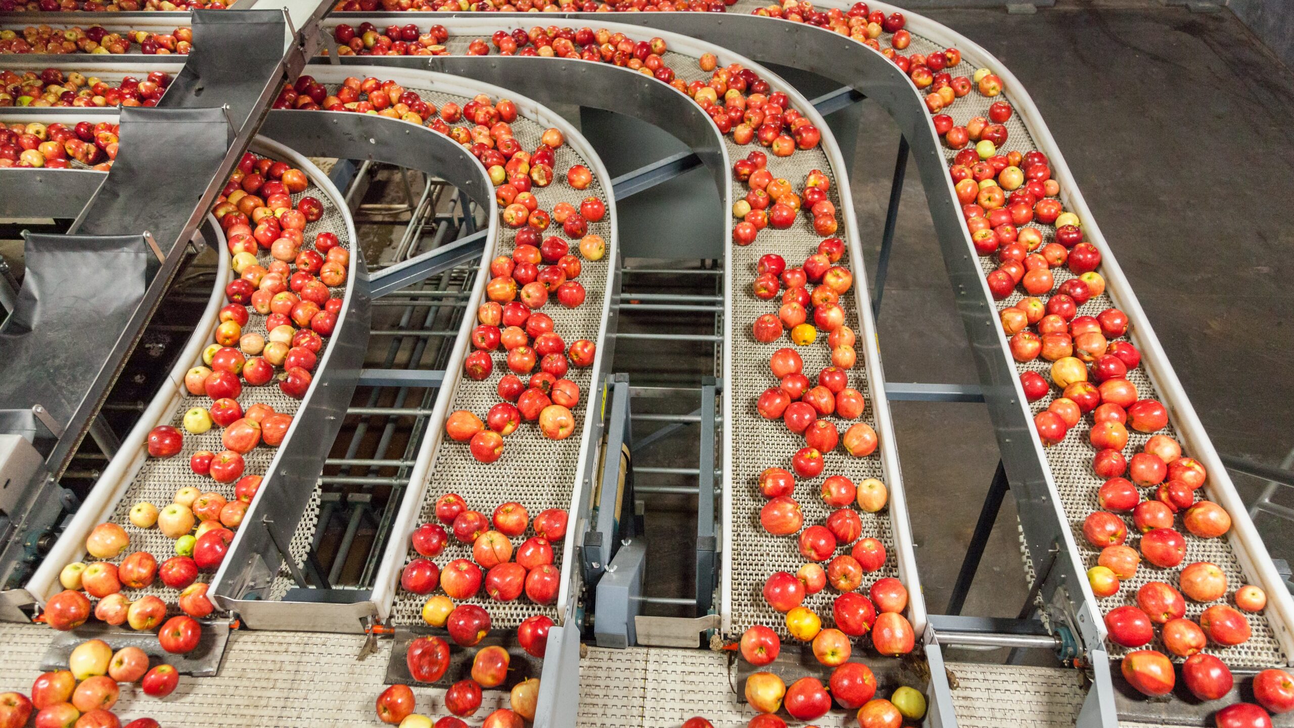 Embedded Vision Systeme ermöglichen die vollautomatische Qualitätskontrolle, Sortierung und Portionierung in der Lebensmittelindustrie