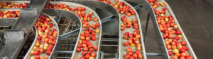 Embedded Vision Systeme ermöglichen die vollautomatische Qualitätskontrolle, Sortierung und Portionierung in der Lebensmittelindustrie