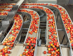 Embedded Vision Systeme ermöglichen die vollautomatische Qualitätskontrolle, Sortierung und Portionierung in der Lebensmittelindustrie