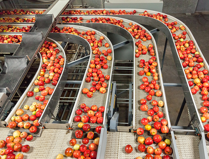 Embedded Vision Systeme ermöglichen die vollautomatische Qualitätskontrolle, Sortierung und Portionierung in der Lebensmittelindustrie