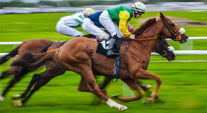 Rennpferde im Zieleinlauf – schnelle Bewegungsabläufe für präzise Linienkontrolle und Foto-Finish-Analyse