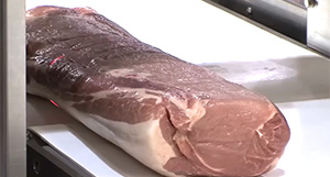 High speed meat slicer